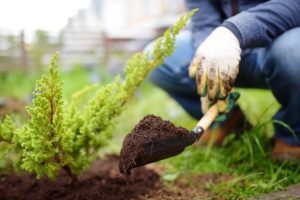 Know about landscaping