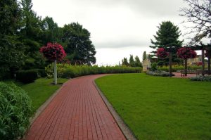 9 Landscaping Trends for 2022
