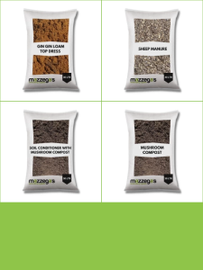 Bagged Soils, Conditioners & Manures