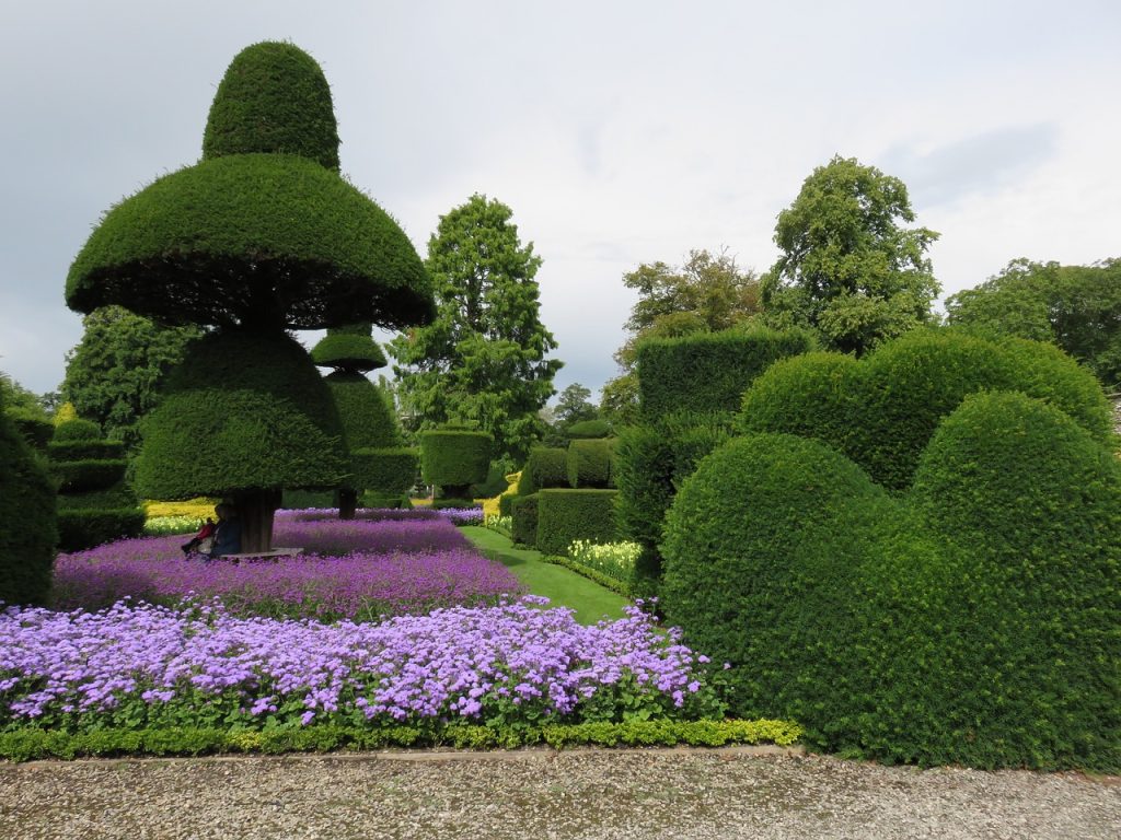 Cloud Pruning Your Topiary Garden