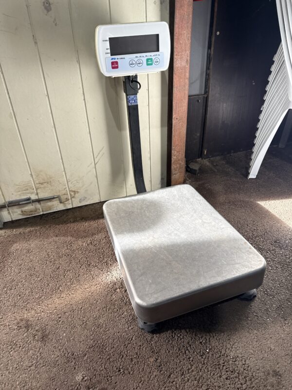 Scale 150kg