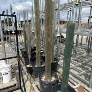 Bollards Pine - heavy duty